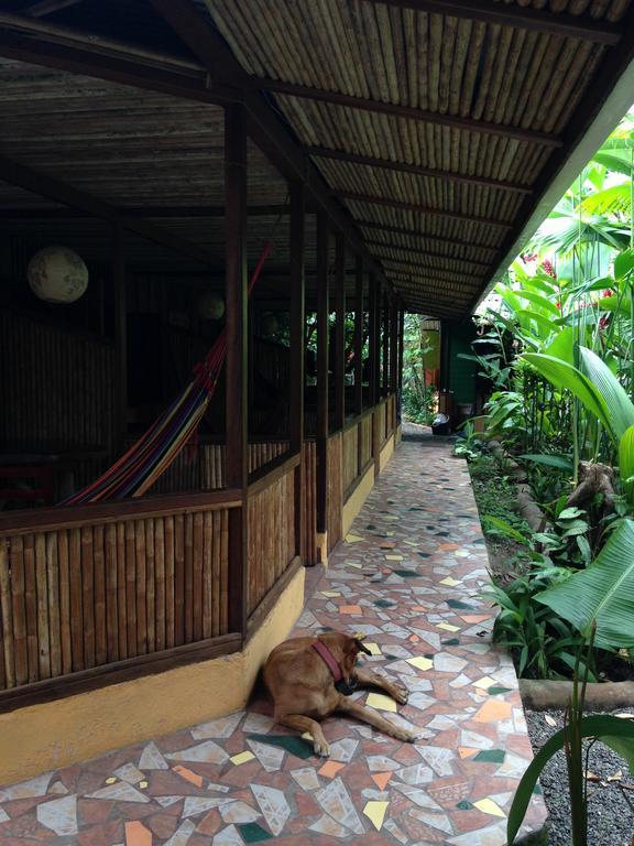 La Casa De Rolando Villa Puerto Viejo de Talamanca Exteriör bild