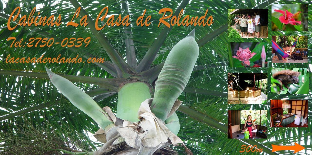 La Casa De Rolando Villa Puerto Viejo de Talamanca Exteriör bild